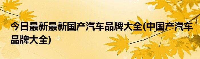 今日最新最新国产汽车品牌大全(中国产汽车品牌大全)