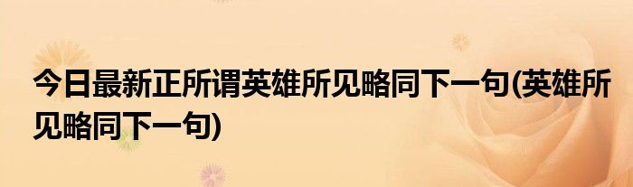 今日最新正所谓英雄所见略同下一句(英雄所见略同下一句)