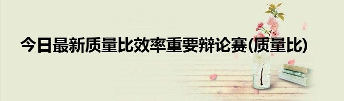 今日最新质量比效率重要辩论赛(质量比)