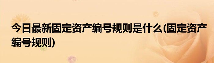 今日最新固定资产编号规则是什么(固定资产编号规则)