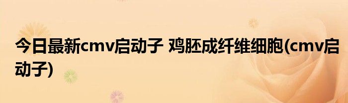 今日最新cmv启动子 鸡胚成纤维细胞(cmv启动子)