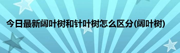 今日最新阔叶树和针叶树怎么区分(阔叶树)