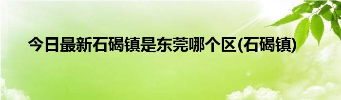 今日最新石碣镇是东莞哪个区(石碣镇)