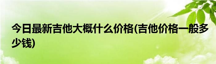 今日最新吉他大概什么价格(吉他价格一般多少钱)
