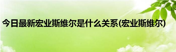 今日最新宏业斯维尔是什么关系(宏业斯维尔)
