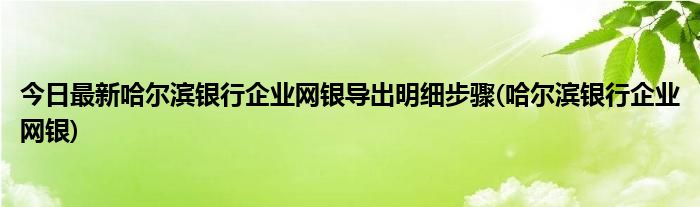 今日最新哈尔滨银行企业网银导出明细步骤(哈尔滨银行企业网银)