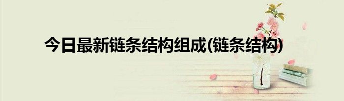 今日最新链条结构组成(链条结构)