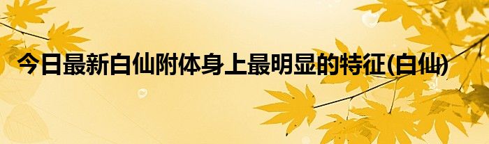 今日最新白仙附体身上最明显的特征(白仙)