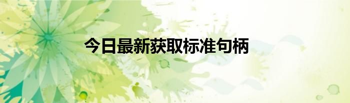 今日最新获取标准句柄