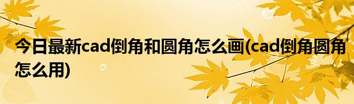 今日最新cad倒角和圆角怎么画(cad倒角圆角怎么用)