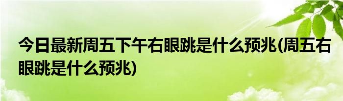 今日最新周五下午右眼跳是什么预兆(周五右眼跳是什么预兆)
