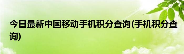 今日最新中国移动手机积分查询(手机积分查询)