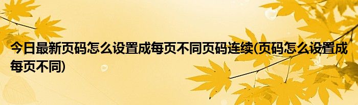 今日最新页码怎么设置成每页不同页码连续(页码怎么设置成每页不同)