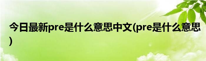 今日最新pre是什么意思中文(pre是什么意思)