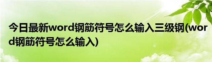 今日最新word钢筋符号怎么输入三级钢(word钢筋符号怎么输入)