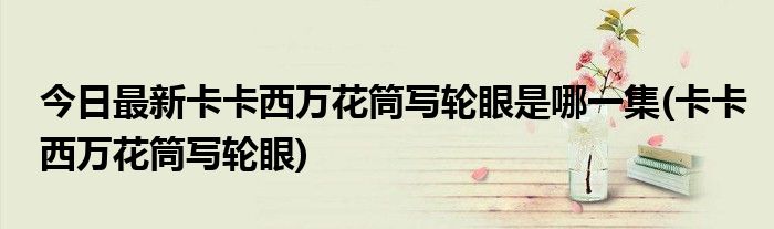 今日最新卡卡西万花筒写轮眼是哪一集(卡卡西万花筒写轮眼)