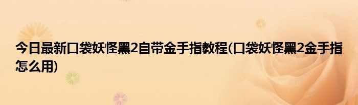 今日最新口袋妖怪黑2自带金手指教程(口袋妖怪黑2金手指怎么用)