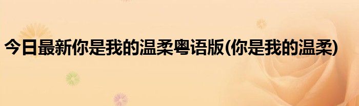 今日最新你是我的温柔粤语版(你是我的温柔)