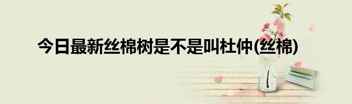 今日最新丝棉树是不是叫杜仲(丝棉)