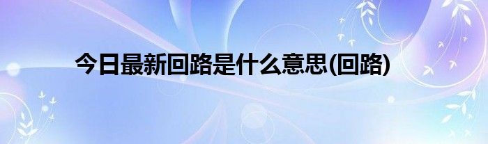 今日最新回路是什么意思(回路)