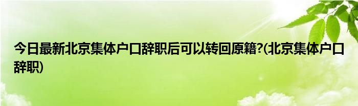 今日最新北京集体户口辞职后可以转回原籍?(北京集体户口辞职)