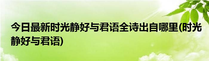 今日最新时光静好与君语全诗出自哪里(时光静好与君语)