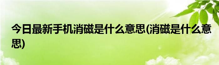 今日最新手机消磁是什么意思(消磁是什么意思)