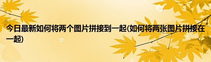 今日最新如何将两个图片拼接到一起(如何将两张图片拼接在一起)