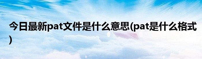 今日最新pat文件是什么意思(pat是什么格式)
