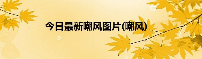 今日最新嘲风图片(嘲风)