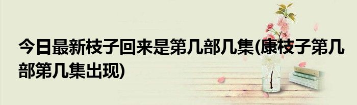今日最新枝子回来是第几部几集(康枝子第几部第几集出现)