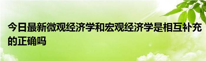 今日最新微观经济学和宏观经济学是相互补充的正确吗