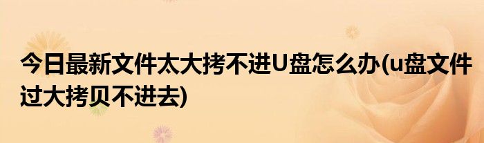 今日最新文件太大拷不进U盘怎么办(u盘文件过大拷贝不进去)