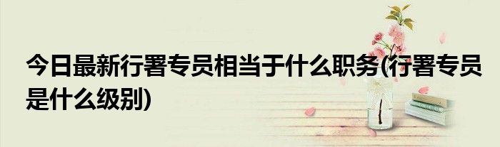 今日最新行署专员相当于什么职务(行署专员是什么级别)