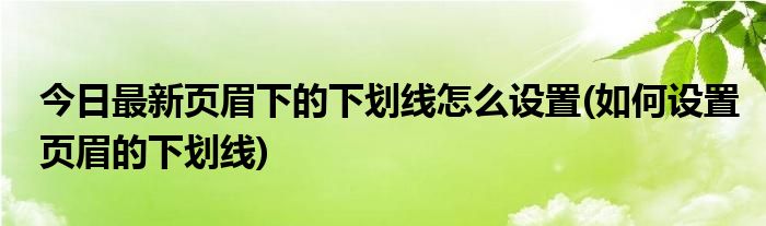今日最新页眉下的下划线怎么设置(如何设置页眉的下划线)