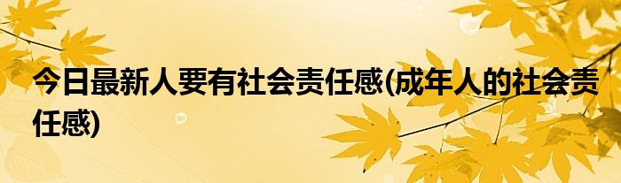 今日最新人要有社会责任感(成年人的社会责任感)