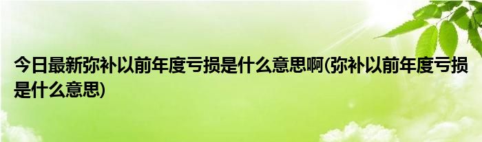 今日最新弥补以前年度亏损是什么意思啊(弥补以前年度亏损是什么意思)