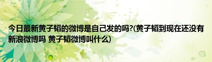 今日最新黄子韬的微博是自己发的吗?(黄子韬到现在还没有新浪微博吗 黄子韬微博叫什么)