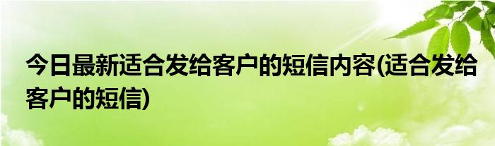 今日最新适合发给客户的短信内容(适合发给客户的短信)