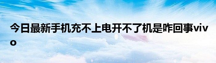 今日最新手机充不上电开不了机是咋回事vivo