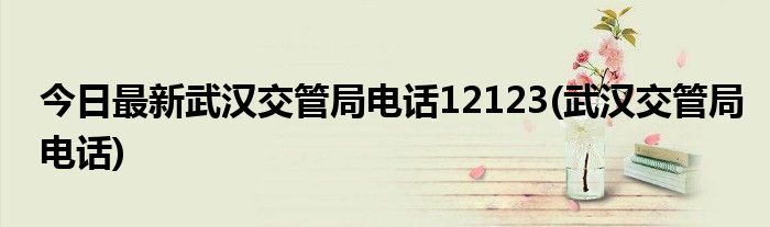 今日最新武汉交管局电话12123(武汉交管局电话)