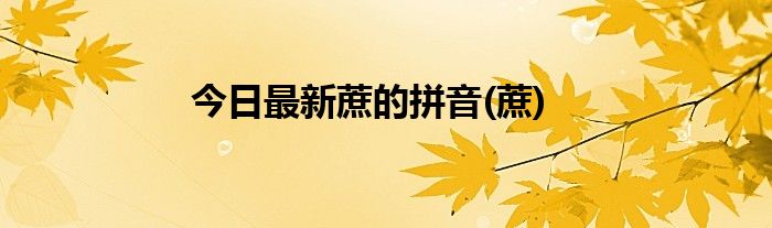 今日最新蔗的拼音(蔗)
