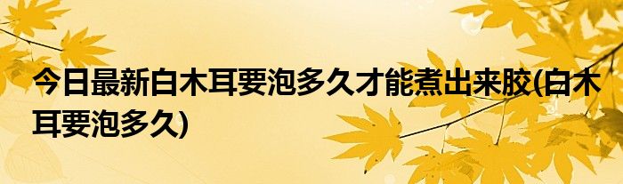 今日最新白木耳要泡多久才能煮出来胶(白木耳要泡多久)