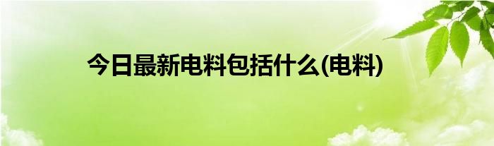今日最新电料包括什么(电料)