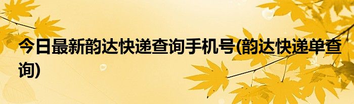 今日最新韵达快递查询手机号(韵达快递单查询)