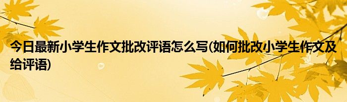 今日最新小学生作文批改评语怎么写(如何批改小学生作文及给评语)