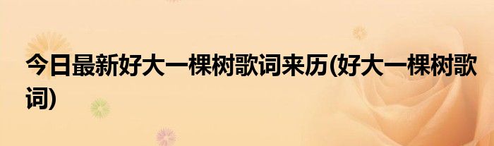 今日最新好大一棵树歌词来历(好大一棵树歌词)