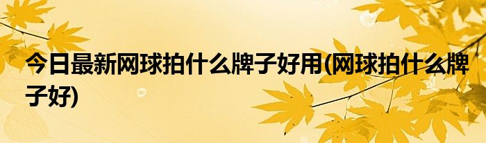 今日最新网球拍什么牌子好用(网球拍什么牌子好)