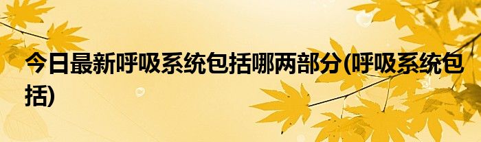 今日最新呼吸系统包括哪两部分(呼吸系统包括)