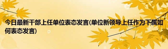 今日最新干部上任单位表态发言(单位新领导上任作为下属如何表态发言)